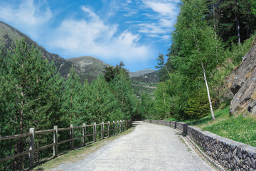 Fototapeta na wymiar Walking path mountains, summer scene.