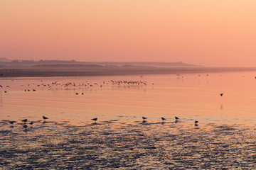 Sonnenaufgang auf Juist