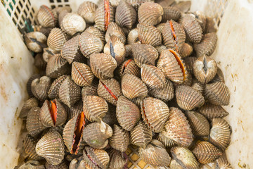 Fresh mussels on the market