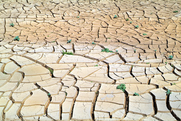 Australia, SA, dryness