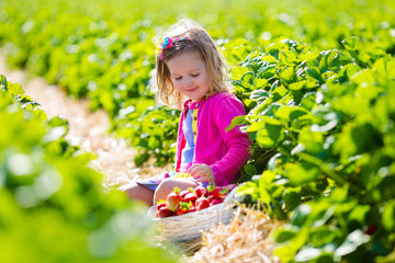 Little girl picking strawberry on a farm