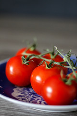 Fresh Tomatoes on the Vine 