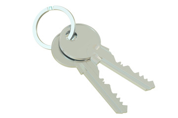 Two keys on a keyring, 3D rendering