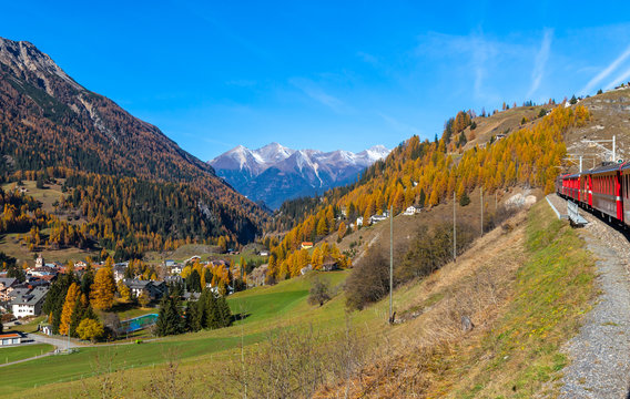 Travel with train in golden autumn