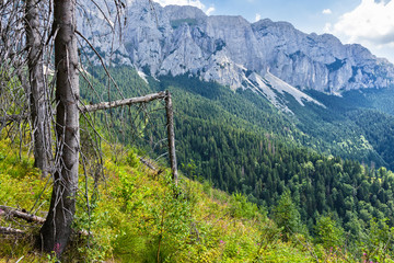 Prince's stone mountains