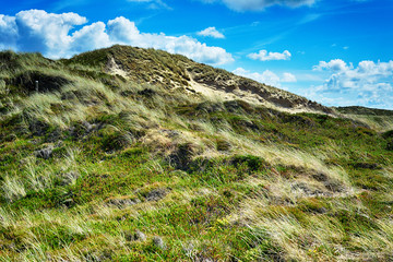 Unberührte Dünenlandschaft in Kampen auf der Insel Sylt