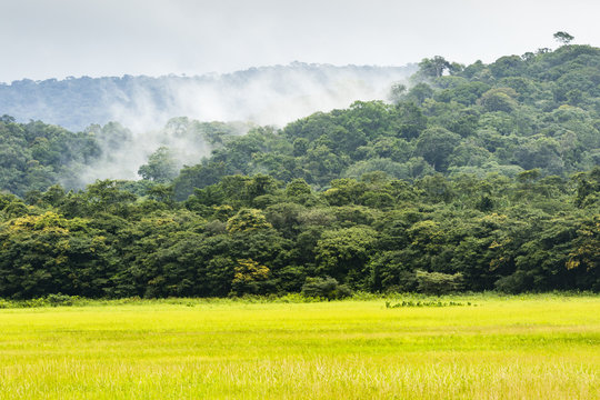 clouds above forested hill