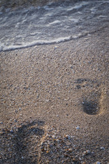 Fototapeta na wymiar footprints in the sand on the sea beach