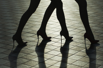 Female legs in stylish shoes