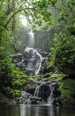 Panoramic view of a waterfall flowing in the middle of the forest in Cerro Dantas natural reserve in Costa Rica
