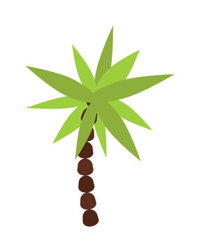Palm , summer tree tropical beach illustration. 