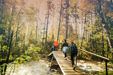Backpackers hiking on bridge in forest