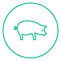 Pig line icon.