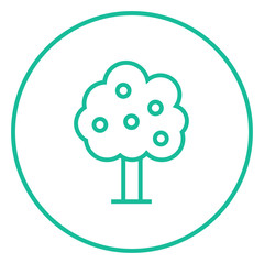 Fruit tree line icon.
