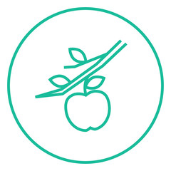 Apple harvest line icon.