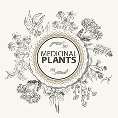 Vector background with herbs in a circle