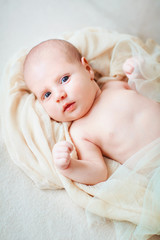 Beautiful baby looking into the eyes ivory background.Portrait n