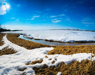 The snow has melted in the form of a bird on dry grass.
