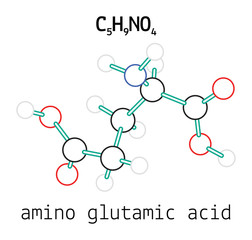 C5H9NO4 glutamic amino acid molecule