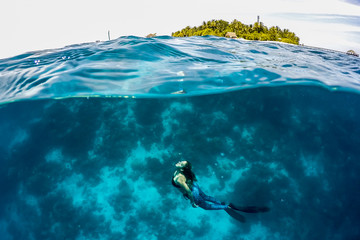Free Diver Whale Shark with camera