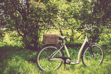 Fototapeta premium bicycle with a wicker basket