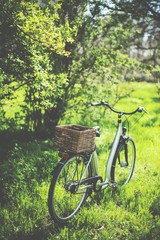 Fototapeta na wymiar bicycle with a wicker basket