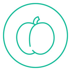 Plum with leaf line icon.