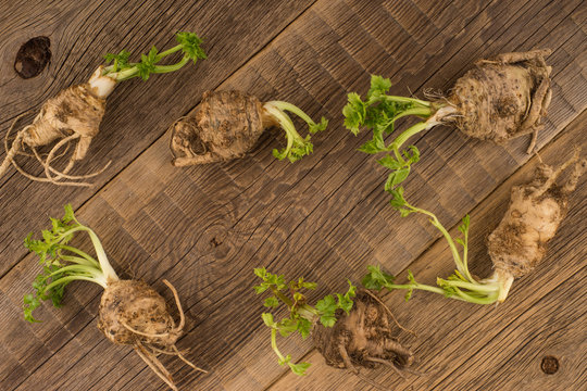 Celery root on the old wooden background