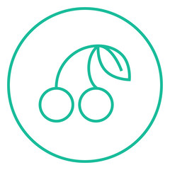 Cherry line icon.