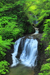 Naklejka premium 衣の滝