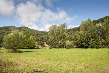 Fototapeta premium Hay meadows and poplar groves. Photo taken in La Pola de Gordon, Leon Province, Spain