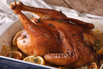 Chicken with lemon and thyme baked in a baking dish macro. horizontal
