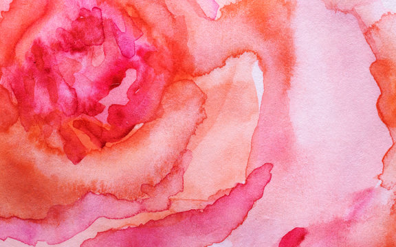 Watercolor painting. Abstract illustration of a rose close up..