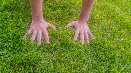 Hand on green grass on a sunny day
