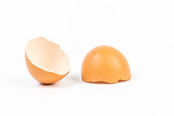 Egg shell on white background
