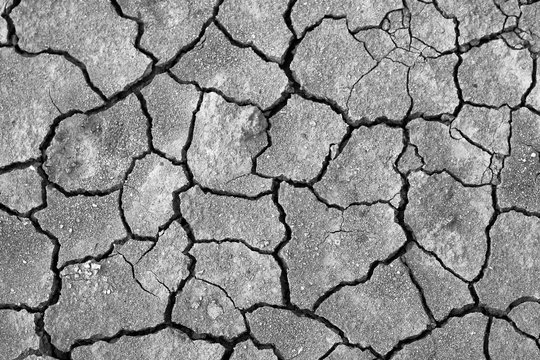 Cracked dry land without water