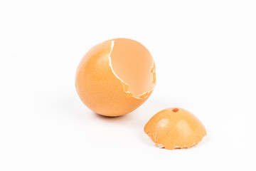 Egg shell on white background