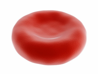 Red blood cell