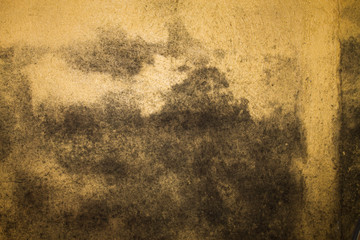 Worn, textured background in yellow and brown