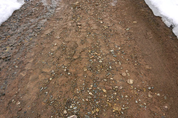 background,  texture spring road