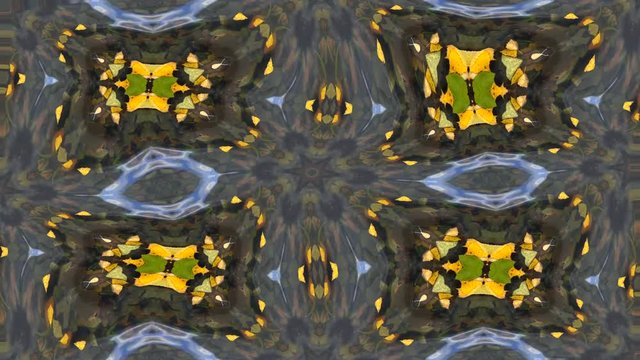 Amazing abstract waving pattern with autumn yellow leaves, floating on shallow water, with row complex structure. Excellent animated floral detailed drunken background in 4k. Adorable twisting visuals