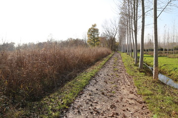 paesaggio