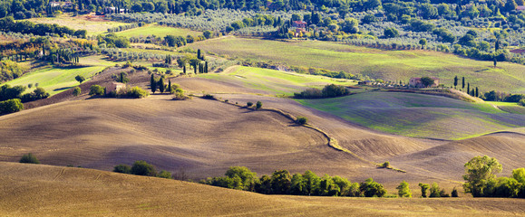 Fototapeta premium wonderful autumn landscape of Tuscan fields 