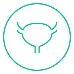 Urinary bladder line icon.