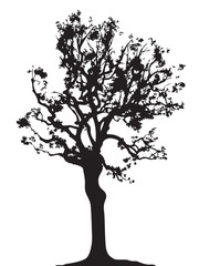 Fototapeta premium Tree twig silhouette vector