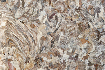 abstract texture of hornet or wasp lair