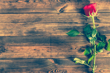 Fototapeta na wymiar Red rose on wooden background, valentine day card