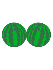 2 melons watermelon bosom breasts balls boobs funny