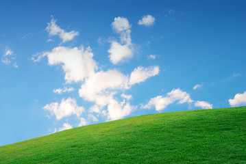 Fototapeta premium green field blue sky and clouds