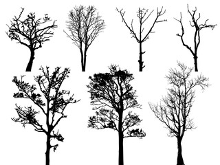 Set of dry trees vector silhouette
